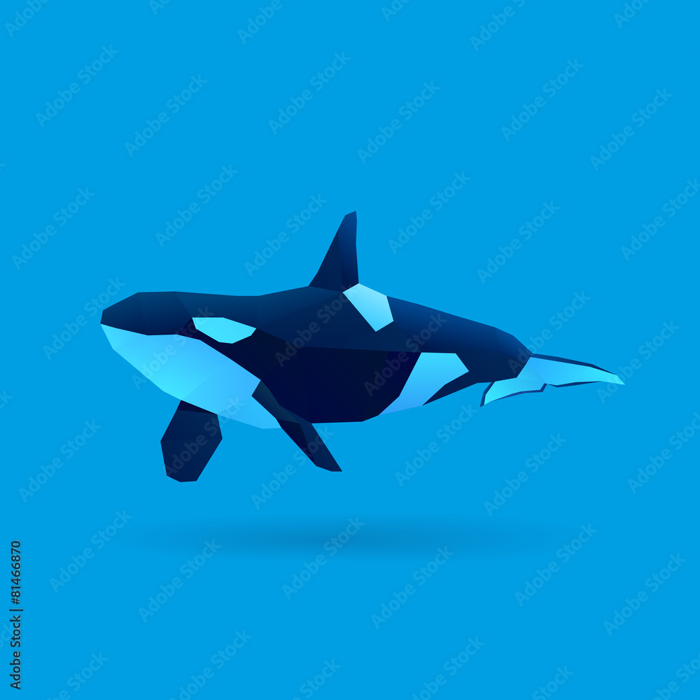 Obraz premium orca