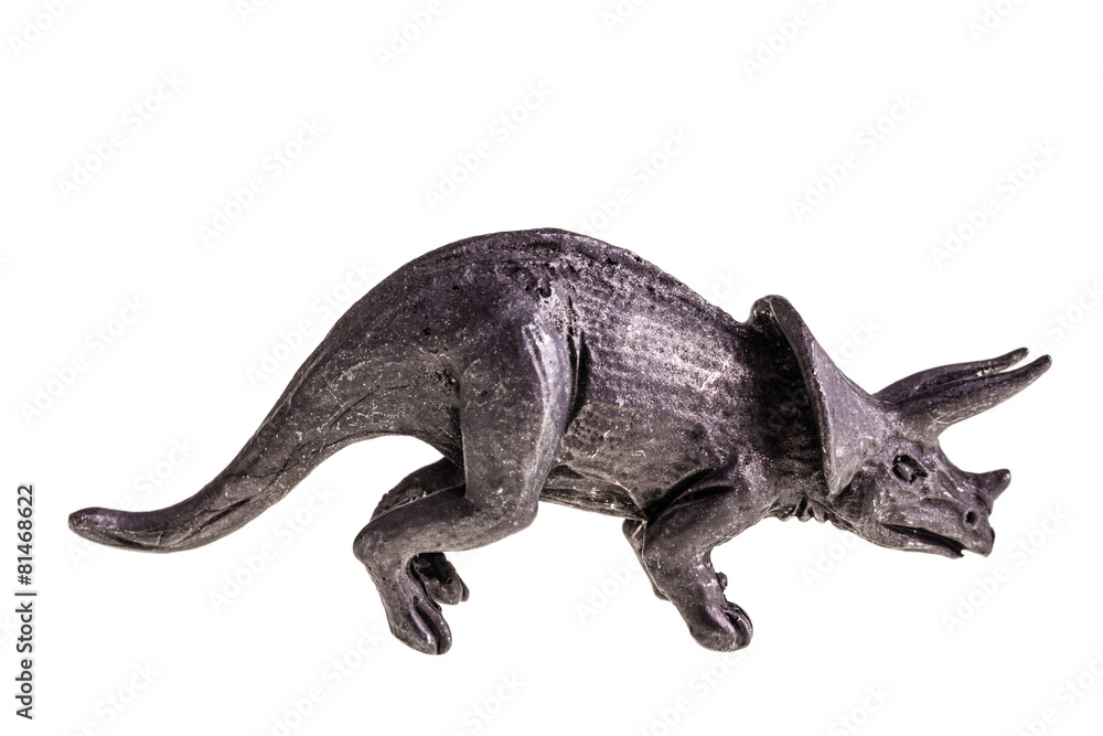 Obraz premium Triceratops