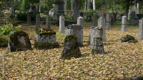 Old Gravestones in Graveyard in Autumn photo