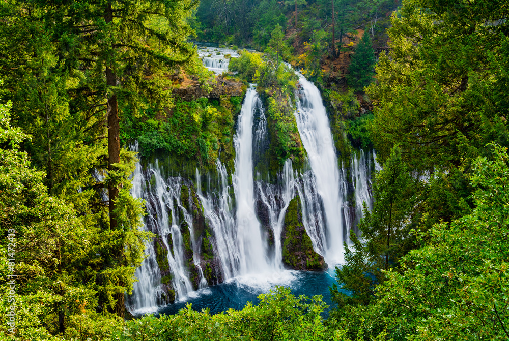 Fototapeta premium McArthur-Burney Falls in Northern California