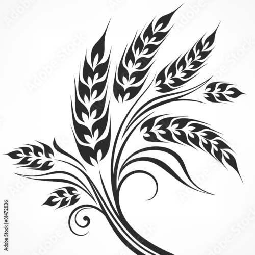Stylized ears of wheat in black on white, vector illustration