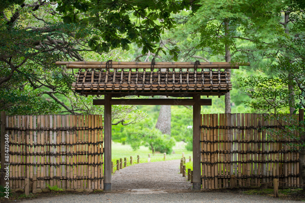 Fototapeta premium 六義園の染井門