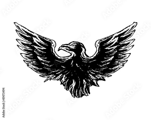 bird eagle hawk falcon logo image vector