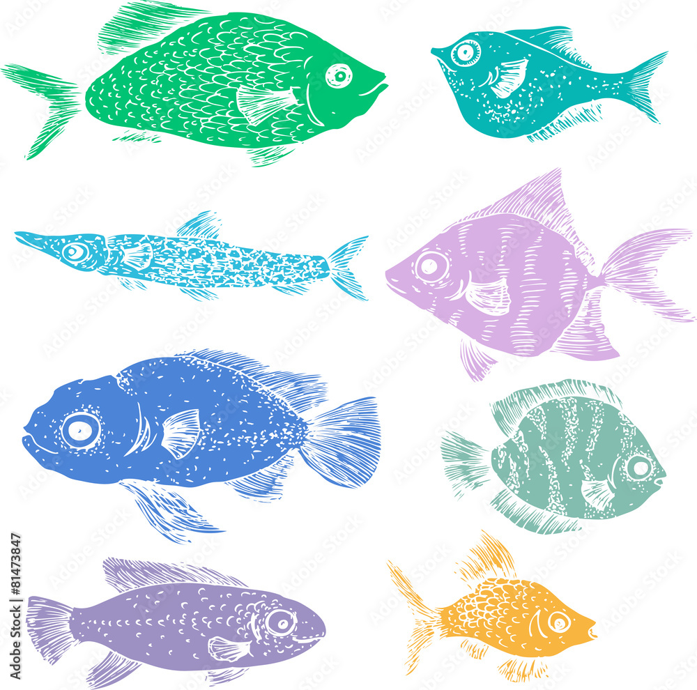 colored silhouettes of fishes colored silhouettes of fishes