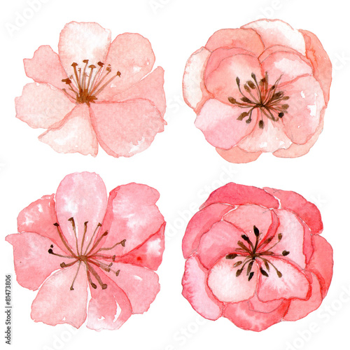Set of flowers watercolor drawing