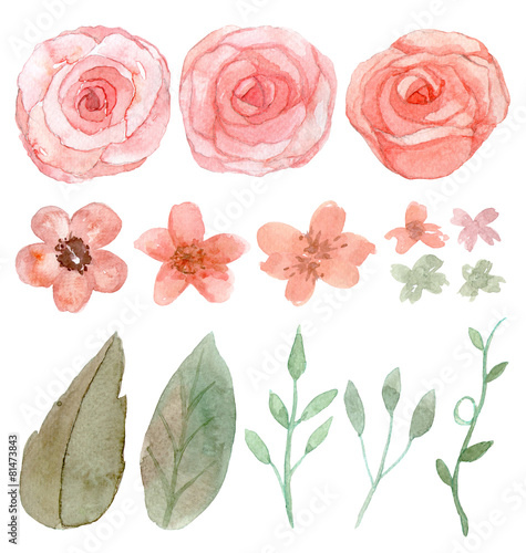 Set of flowers and leaves