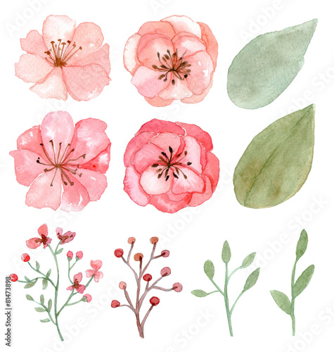 Set of flowers and leaves