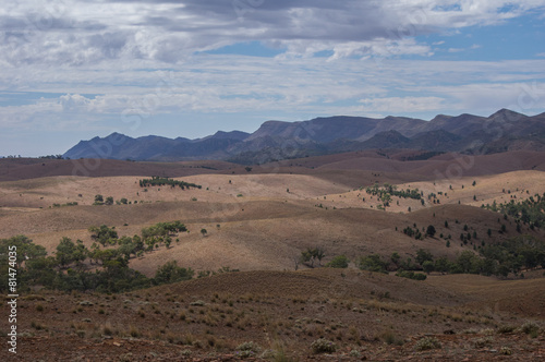 Flinders Ranges 29