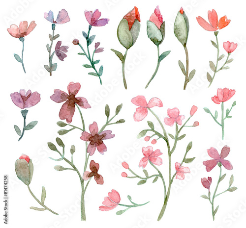 Set of flowers and leaves