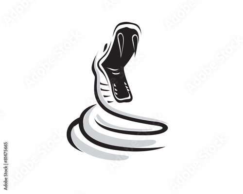 Black Mamba Snake