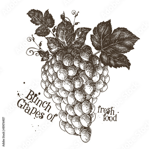 grapes vector logo design template. fruit or fresh food icon.