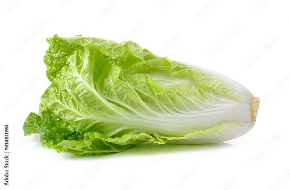 fresh chinese cabbage on a white background fresh chinese cabbage on a white background