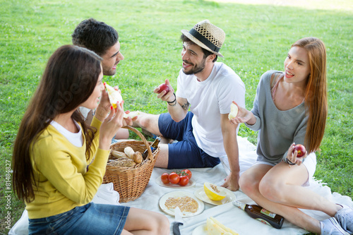 Vier Freunde beim Picknick auf der gr  nen Wiese