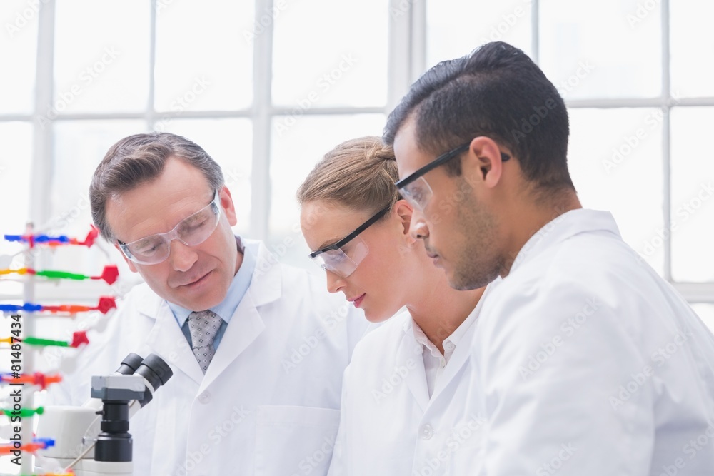 Scientists working together Scientists working together