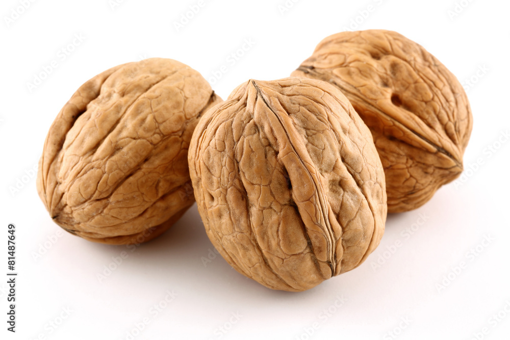 Walnut Walnut