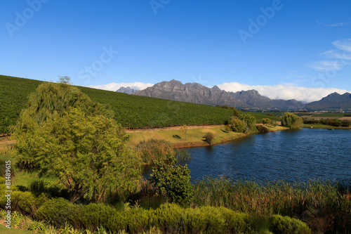 Stellenbosch © elleonzebon