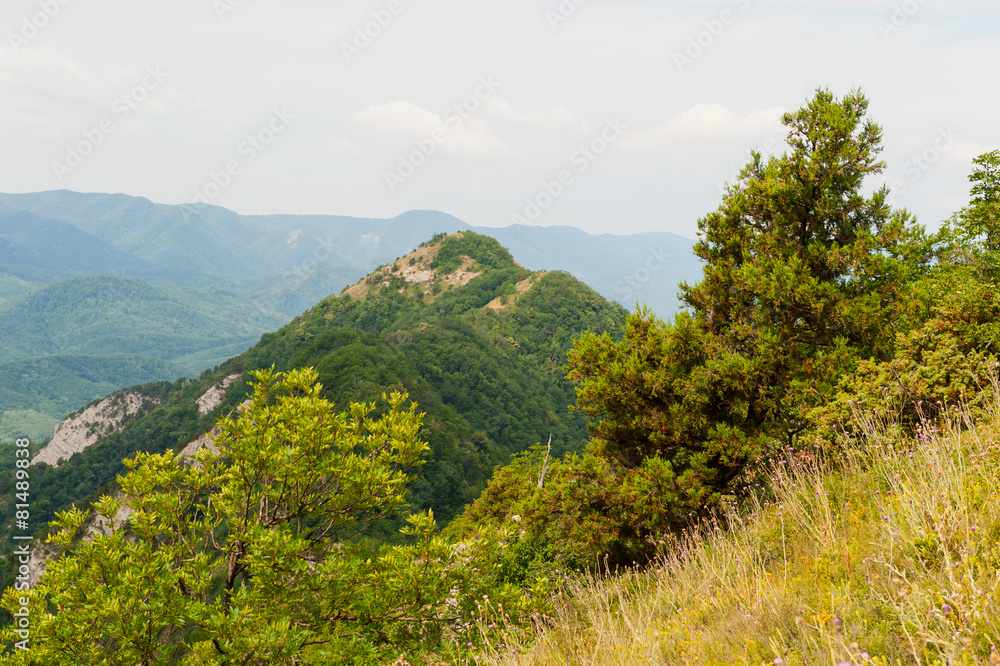 Obraz premium Summer in the mountains of the Caucasus