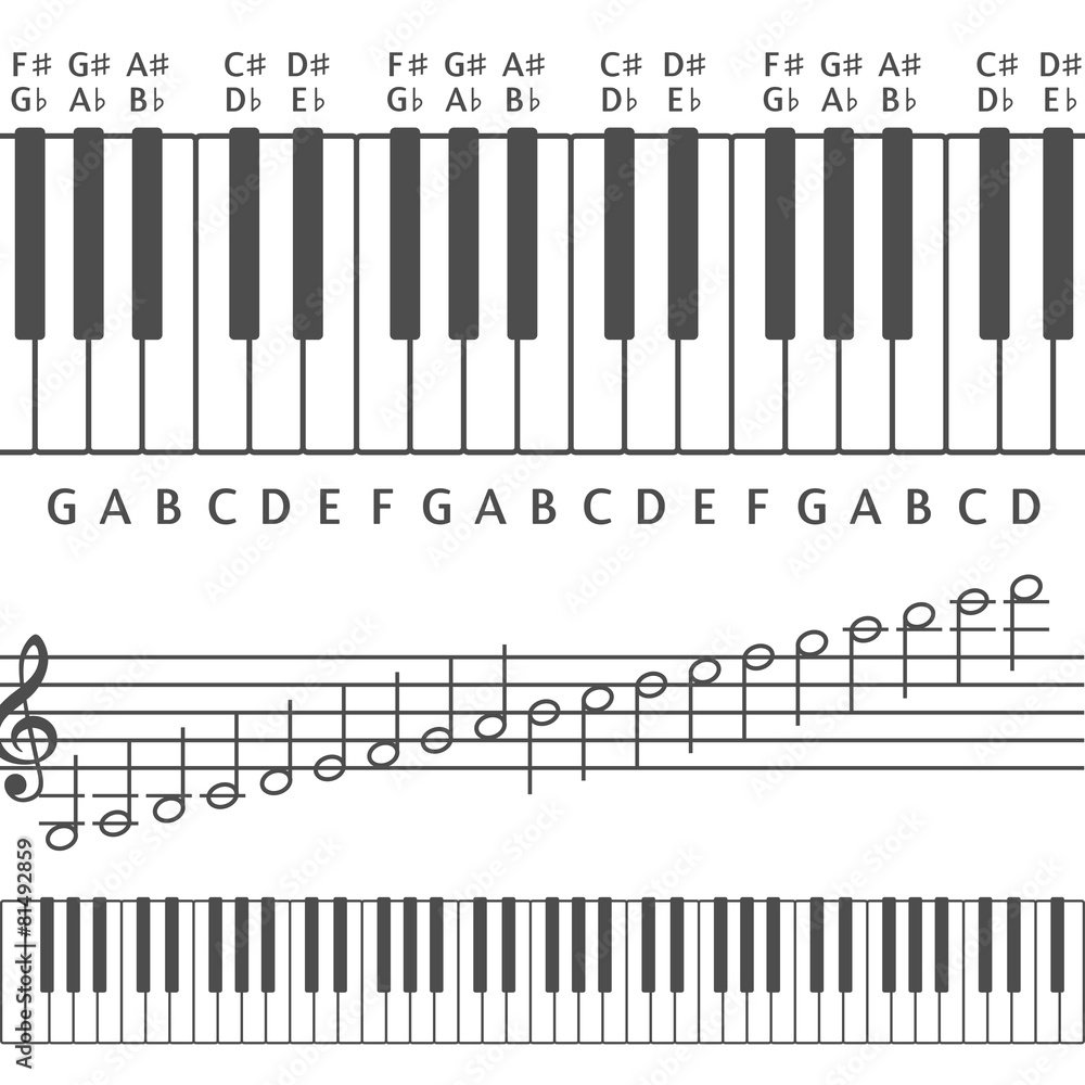 Fototapeta premium Piano keys and notes vector illustration