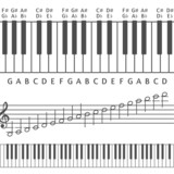 Piano keys and notes vector illustration
