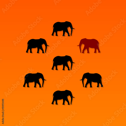 Elefanten