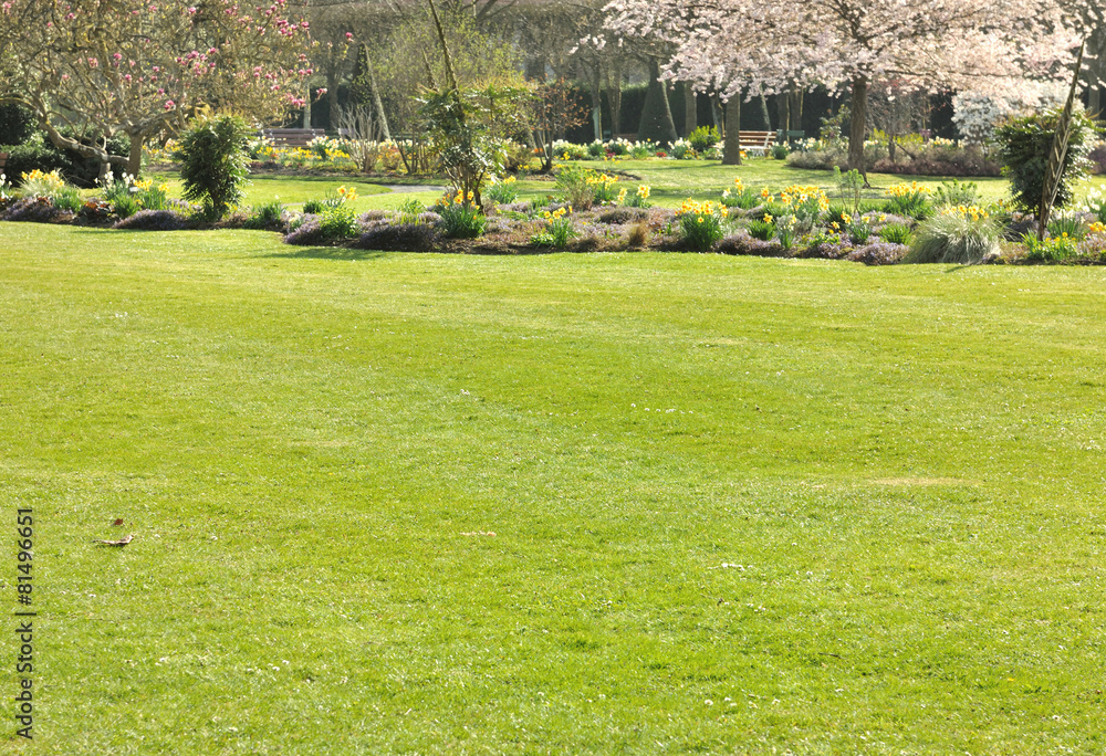 Obraz premium gazon dans jardin arboré