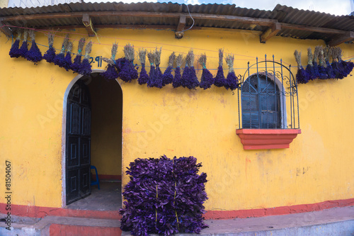 gold house with purple flowers drying photo