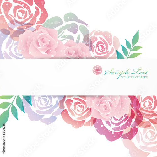 rose background