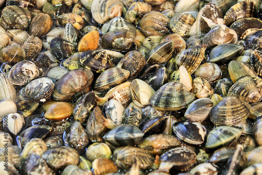 Pesce, vongole veraci Pesce, vongole veraci