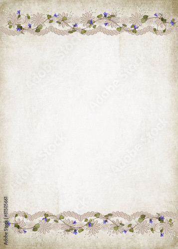 Photography ivy and lace border on textured background