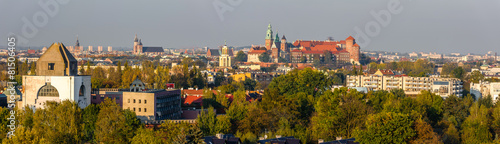 Panorama Krakowa z Zakrzówka #81506405