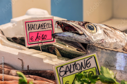 In pescheria: maccarello e salmone photo