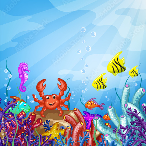 Illustration of the underwater world
