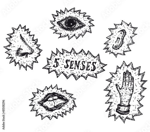 Five Human senses icons