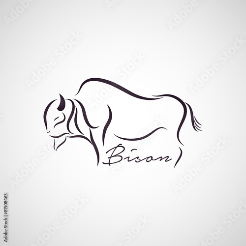 Bison logo vector