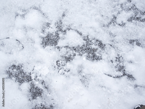 fresh snow on the ground © kukando