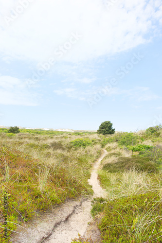 Landscape with dunes