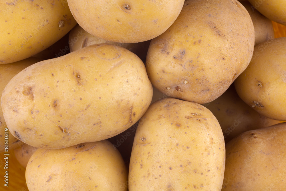 Fresh harvested yellow potato tubers Fresh harvested yellow potato tubers