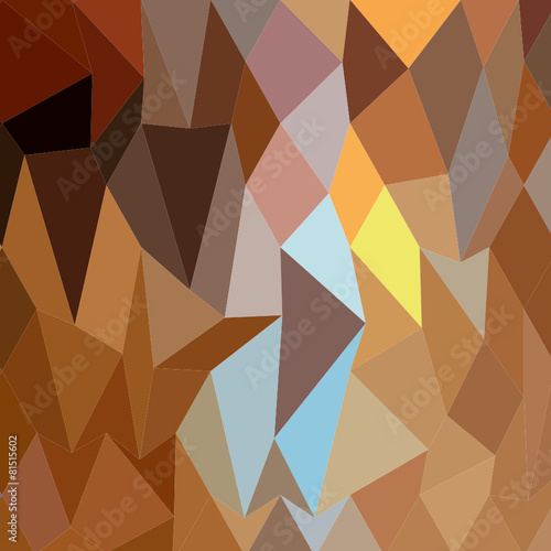 Dark Tangerine Abstract Low Polygon Background