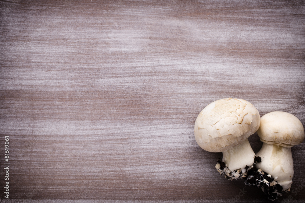 Champignon. Champignon.