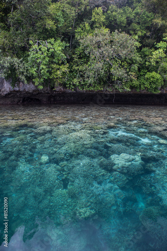 Fototapeta Naklejka Na Ścianę i Meble -  Limestone Island and Tropical Reef