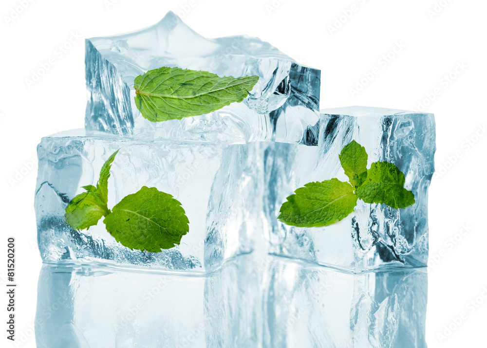 Fototapeta Ice cubes with mint, isolated on white