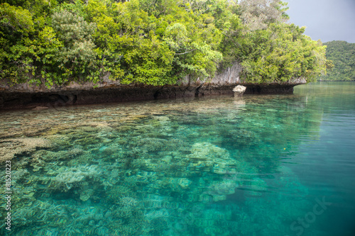 Limestone Island and Reef