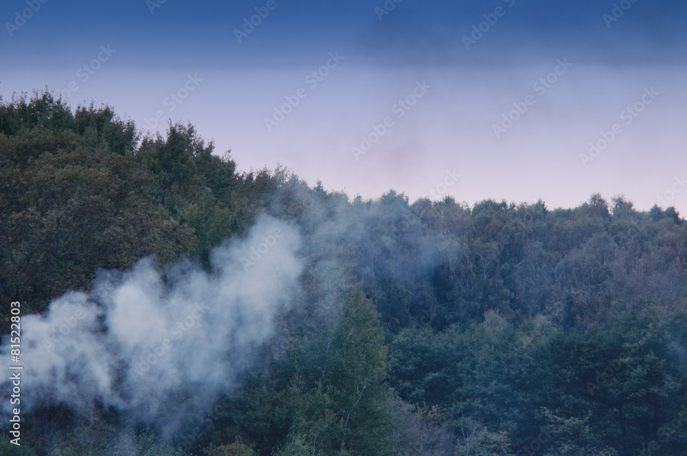 Smoke in the forest