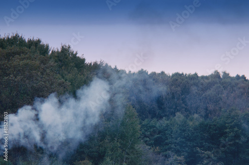 Smoke in the forest