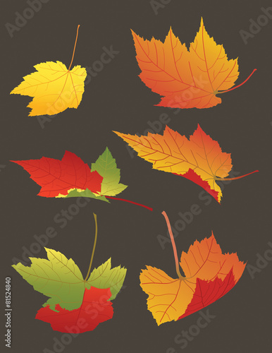 Vector illustration of Falling Autumn Leaves