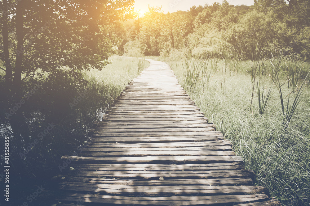 Obraz premium Retro Hiking Path with Sunlight with Instagram Style Vintage Fil