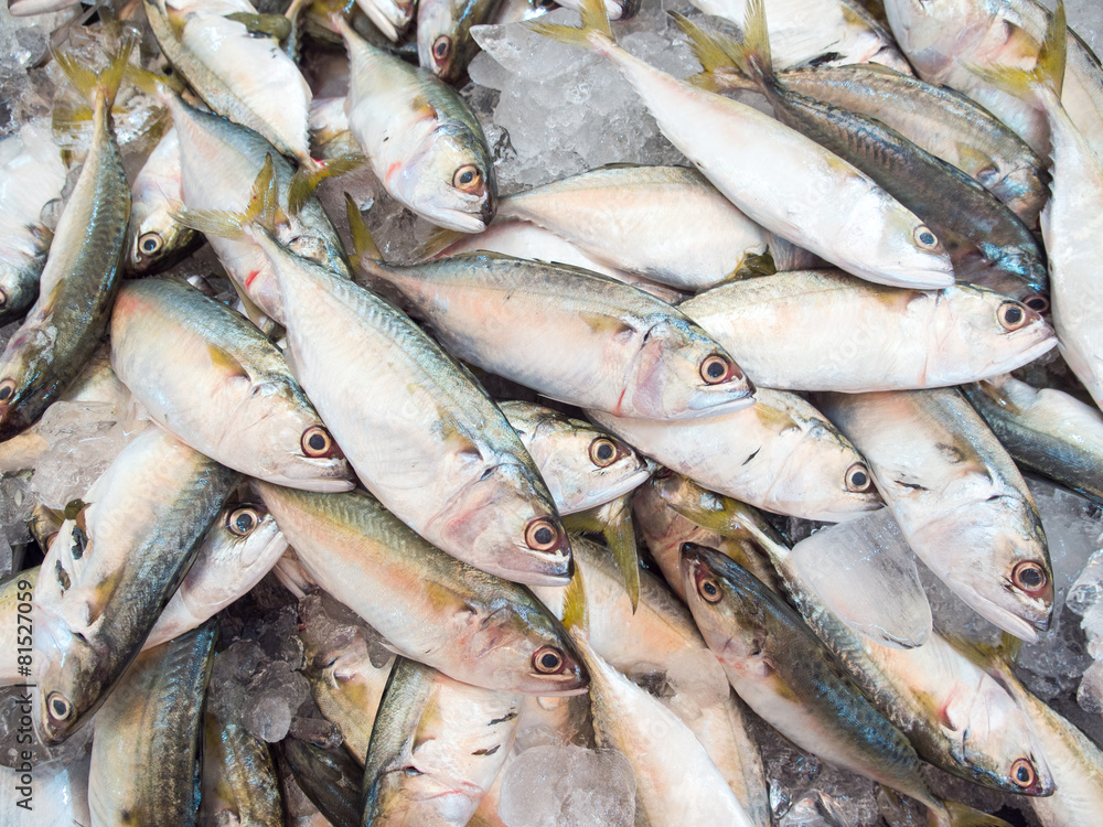 Mackerel fish in market
