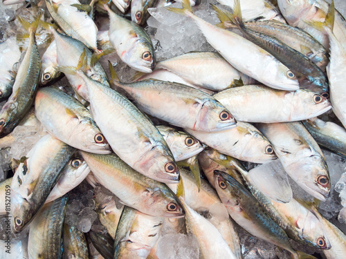 Mackerel fish in market
