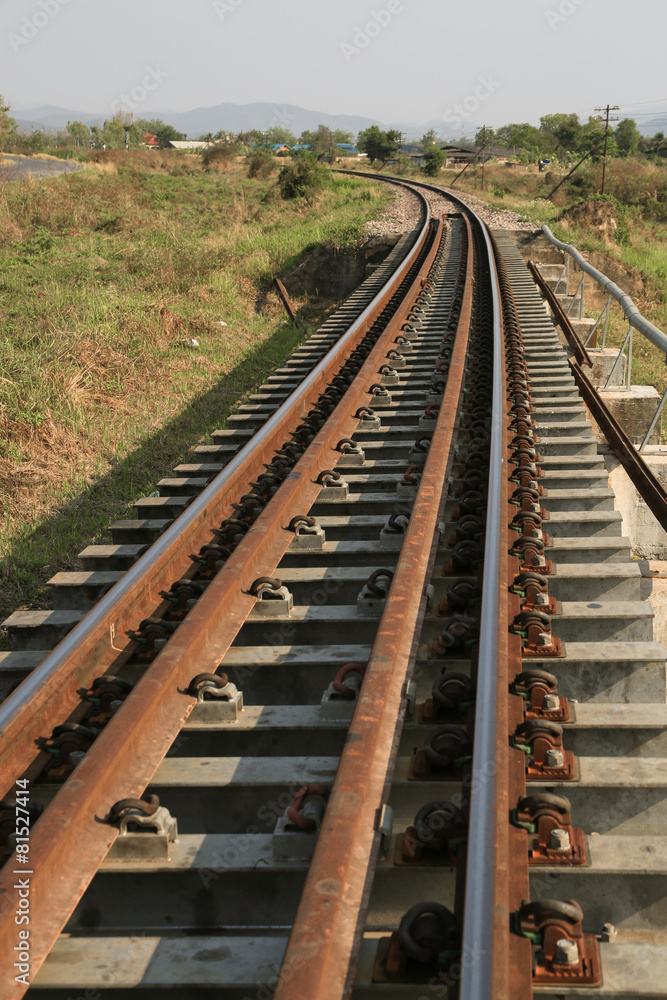 Obraz premium Railway line passing through the green plants. Journey way