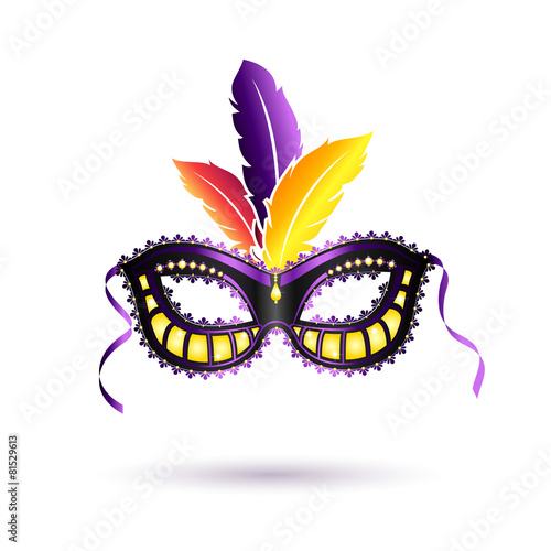 Vector colored carnival mask